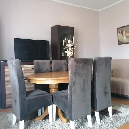 Apartman ,,Milica" Donji Milanovac Extérieur photo