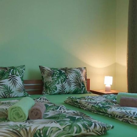 Apartman ,,Milica" Donji Milanovac Extérieur photo