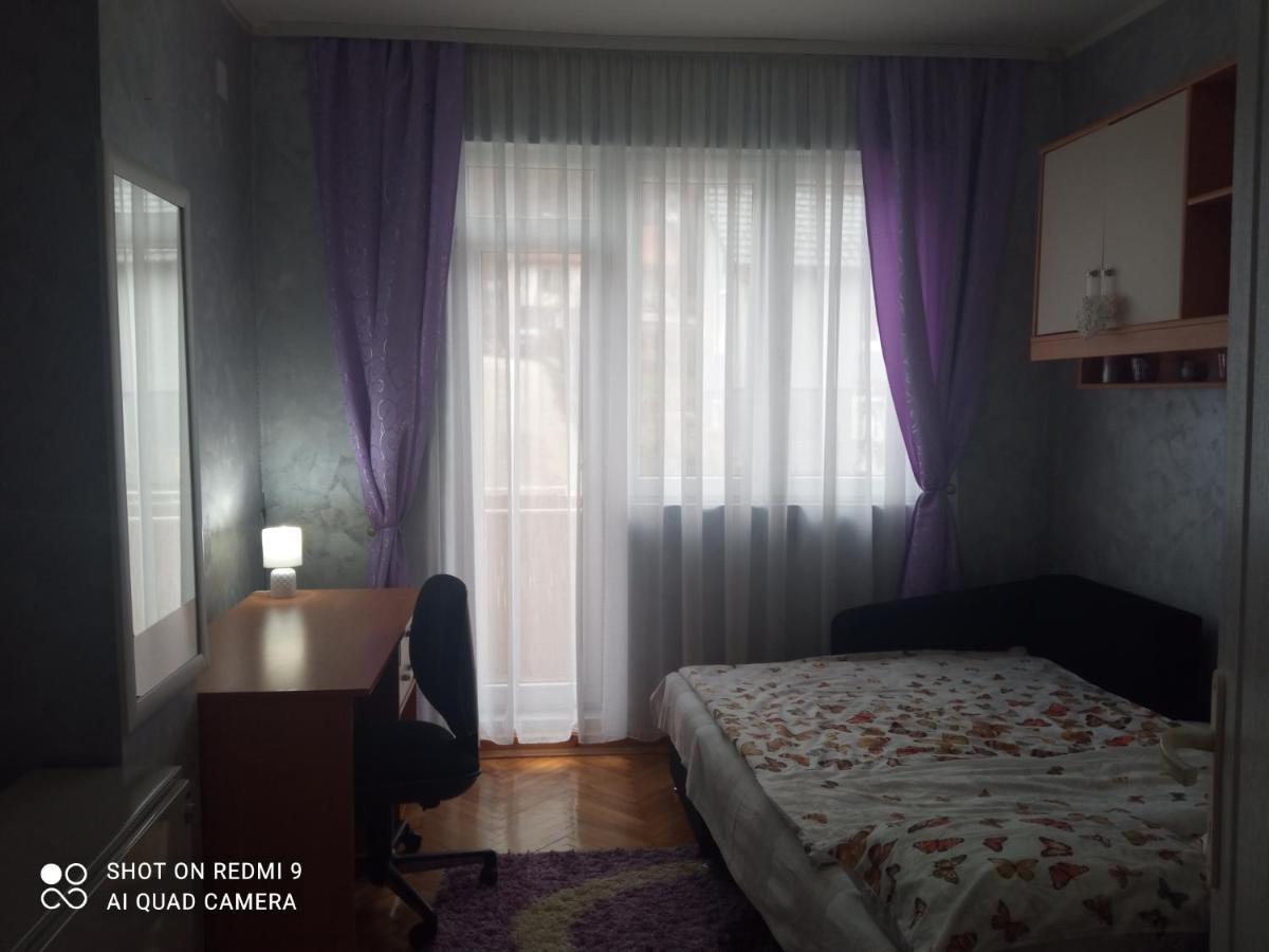 Apartman ,,Milica" Donji Milanovac Extérieur photo