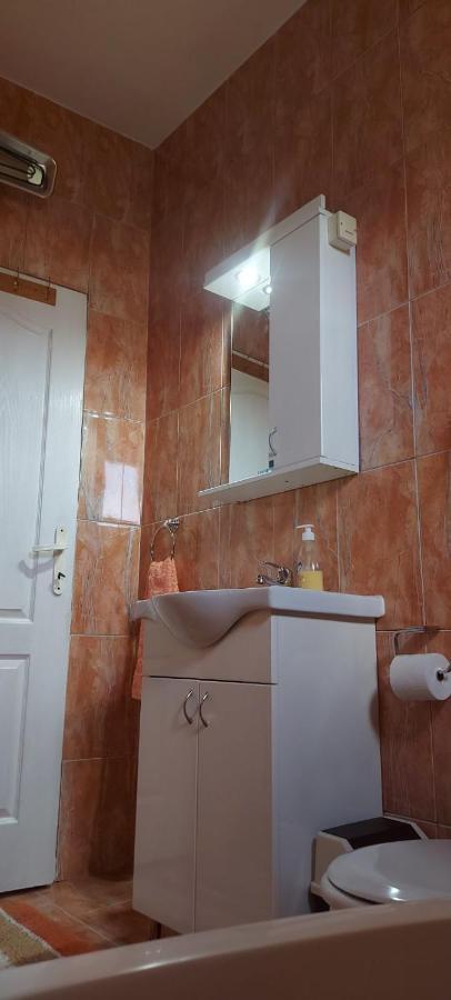 Apartman ,,Milica" Donji Milanovac Extérieur photo